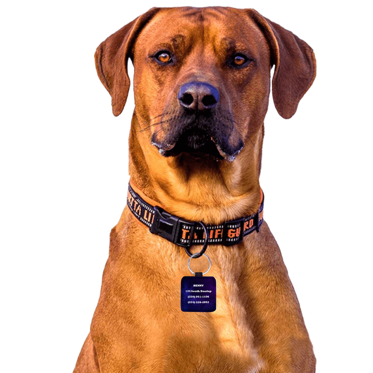 Henny Dog Tag