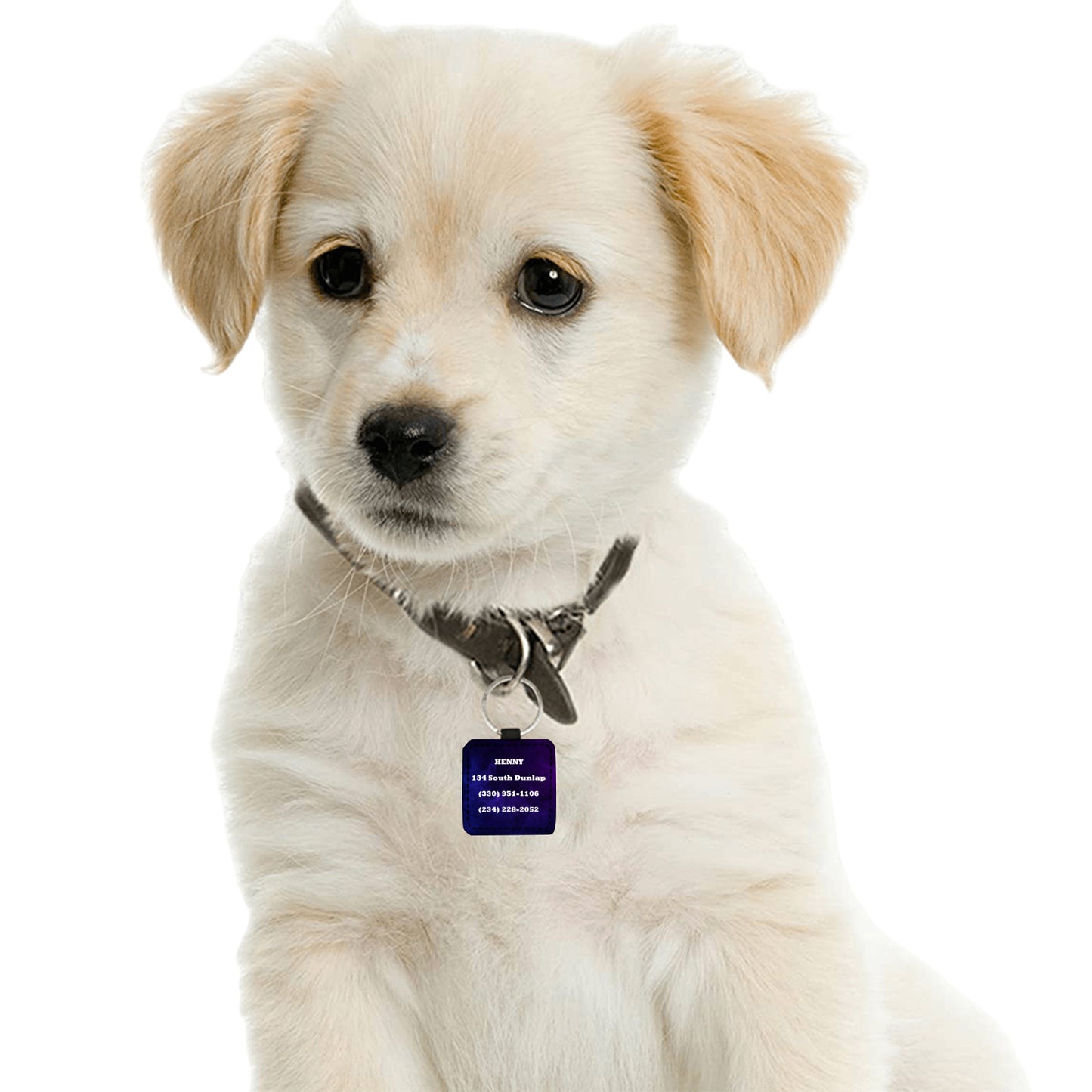 Henny Dog Tag