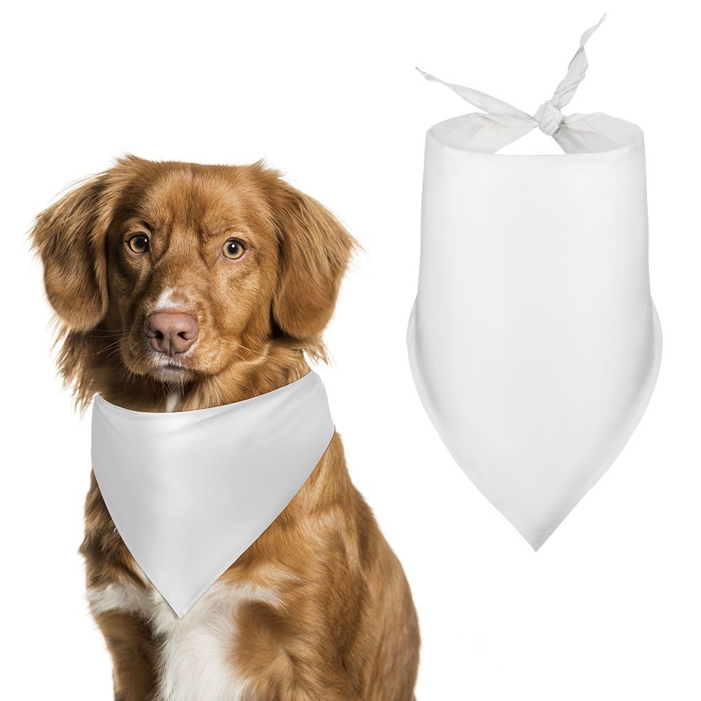 Create Your Own Pet Scarf
