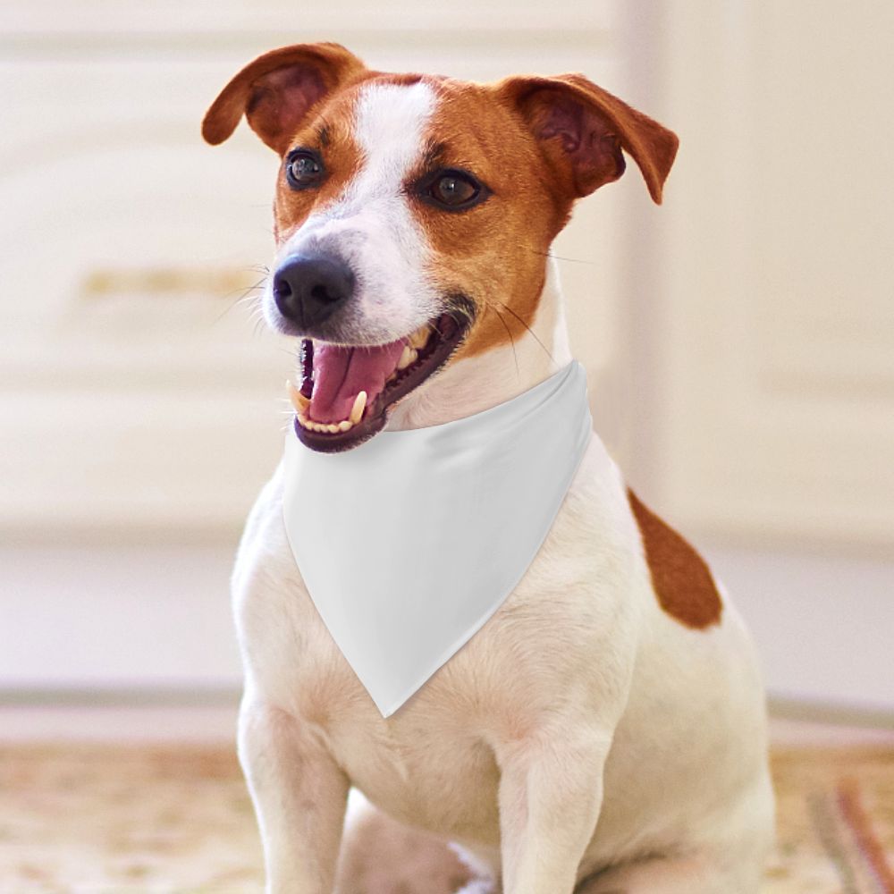 Create Your Own Pet Scarf