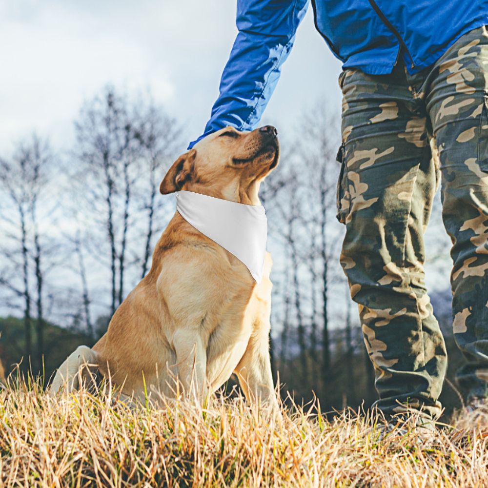 Create Your Own Pet Scarf