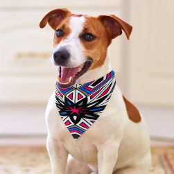 Pink Spider Pet Scarf