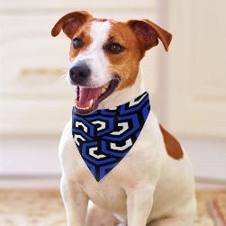 Amazing Blue Pet Scarf