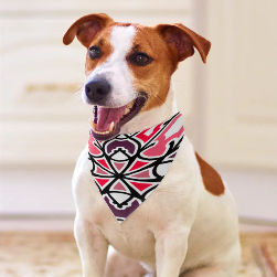 Pizza Swizzle Pet Scarf