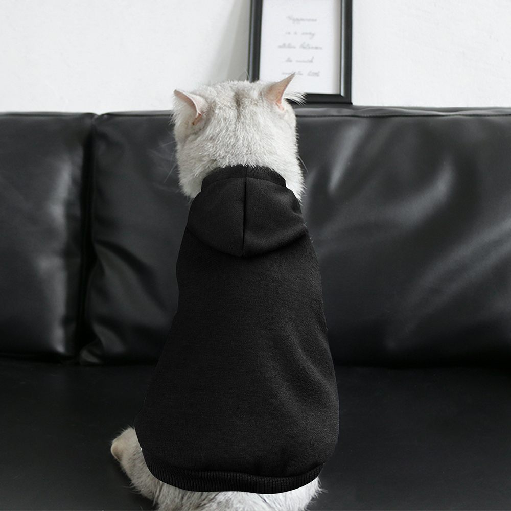 Create Your Own Pet Suit with Hat
