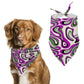 Plum Wave Pet Scarf