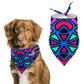 Cotton Candy Swizzle Pet Scarf