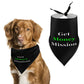 Get Money Mission Pet Scarf
