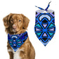 Powder Swizzle Pet Scarf