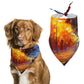 Walk of Love Pet Scarf