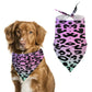 Pastel Leopard Pet Scarf