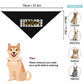 Steelers Inspired Pet Scarf