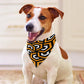 Amazing Orange Pet Scarf