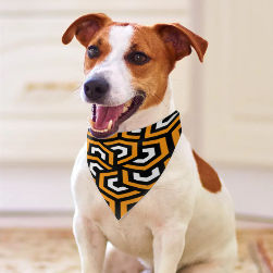 Amazing Orange Pet Scarf