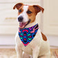 Cotton Candy Swizzle Pet Scarf