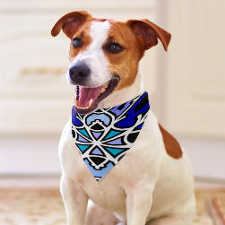 Blue Swizzle Pet Scarf