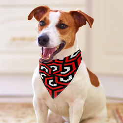 Amazing Red Pet Scarf