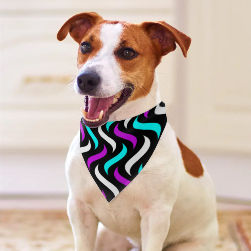 Vibrant Splash 2 Pet Scarf