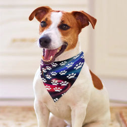 Dog Paw Prints Pet Scarf