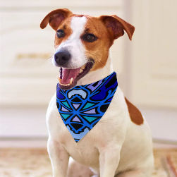 Powder Swizzle Pet Scarf