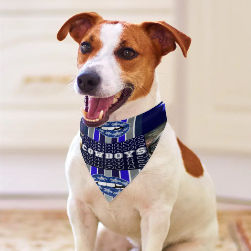 Cowboys Inspired Pet Scarf
