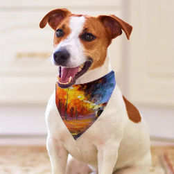 Walk of Love Pet Scarf