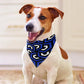 Amazing Blue Pet Scarf