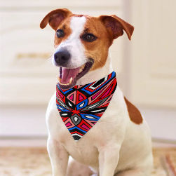 Red Spider Pet Scarf