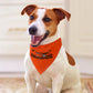 Browns Inspired Pet Scarf
