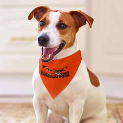 Browns Inspired Pet Scarf
