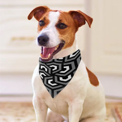 Amazing Grey Pet Scarf