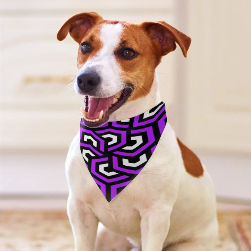 Amazing Lilac Pet Scarf