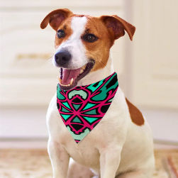Watermelon Swizzle Pet Scarf