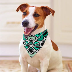 Green Swizzle Pet Scarf