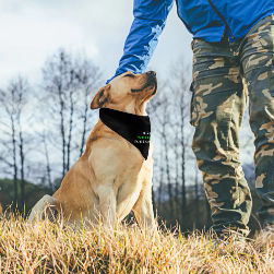 Get Money Mission Pet Scarf